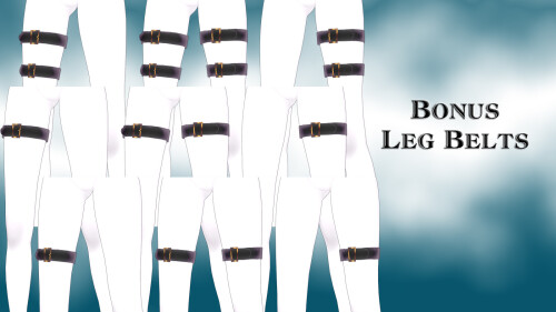 Leg Belts
